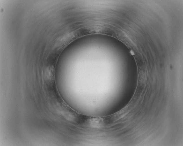 X0000088430126200705221257