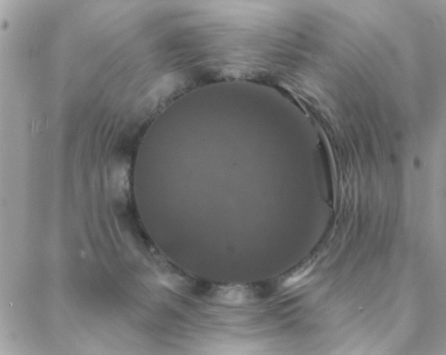 X0000088430127200705221257