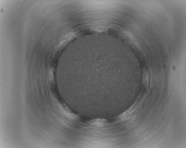 X0000088430128200705221257