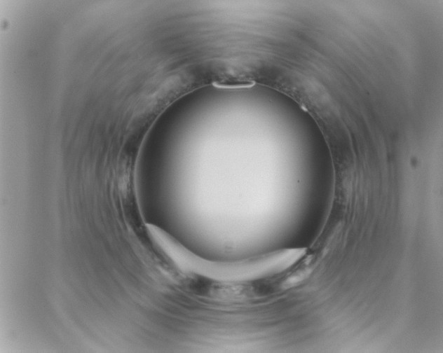 X0000088430129200705221257