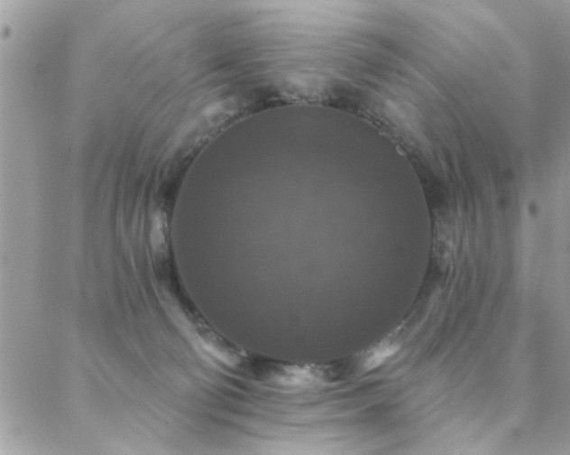 X0000088430130200705221257