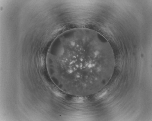 X0000088430131200705221257