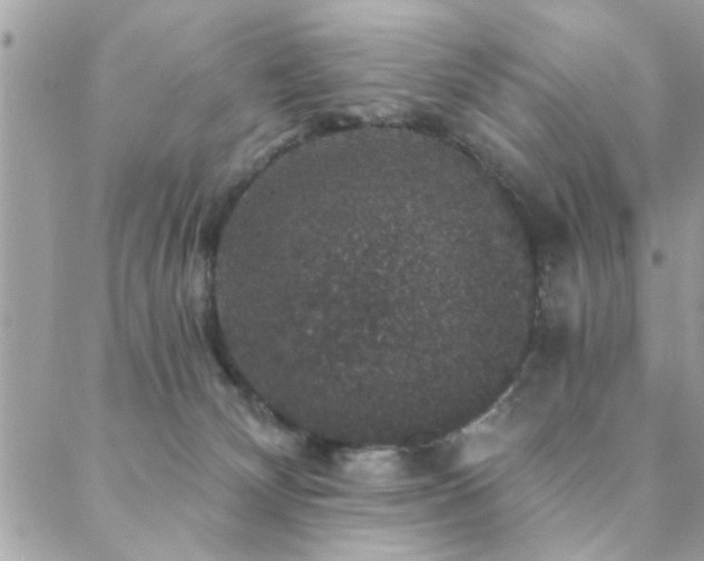 X0000088430132200705221257