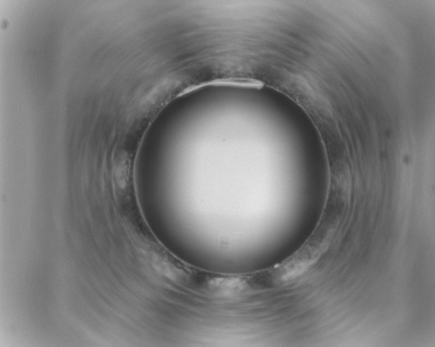 X0000088430133200705221257