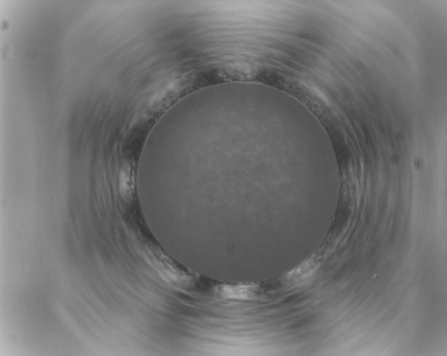 X0000088430134200705221257