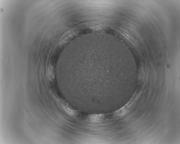 X0000088430136200705221257