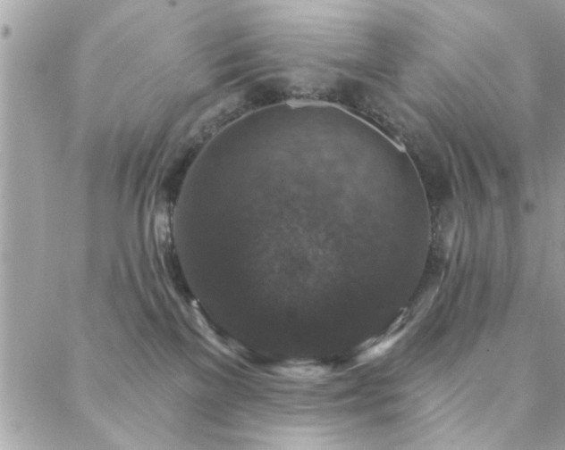 X0000088430137200705221256