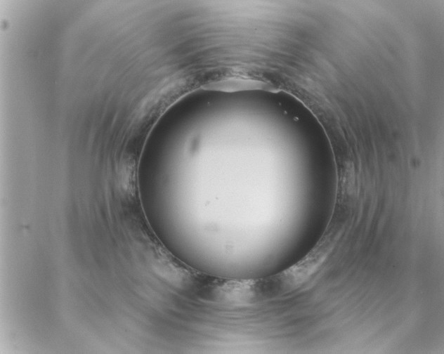 X0000088430138200705221256