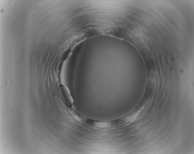 X0000088430139200705221256