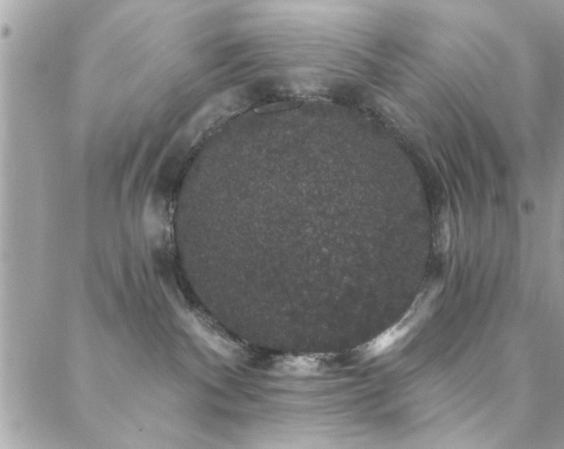 X0000088430140200705221256