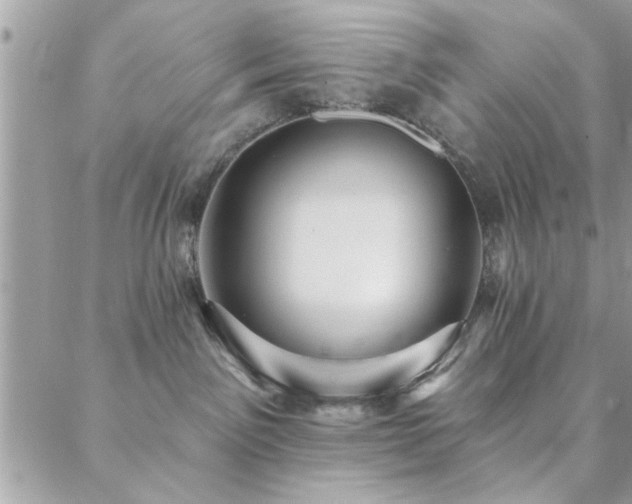 X0000088430141200705221256