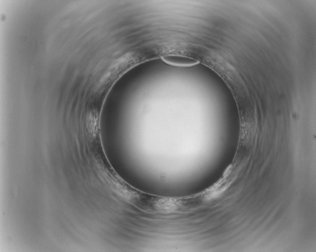 X0000088430142200705221256