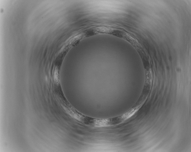 X0000088430143200705221256