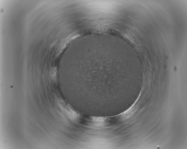 X0000088430144200705221256