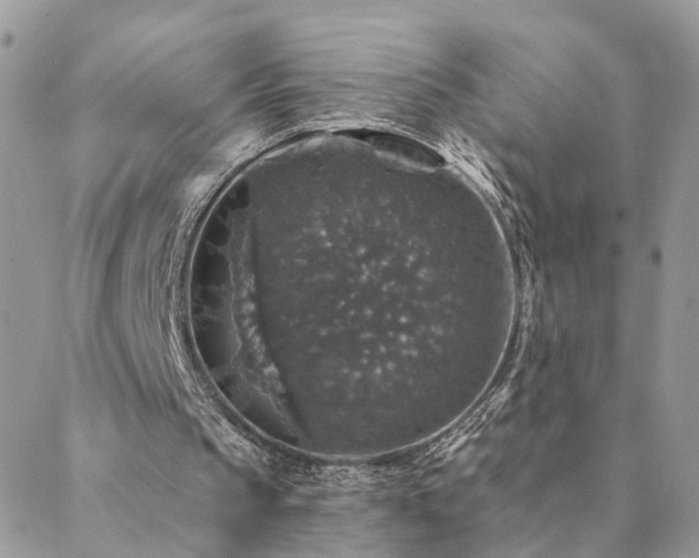 X0000088430145200705221256