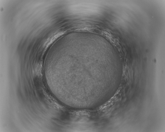 X0000088430146200705221256