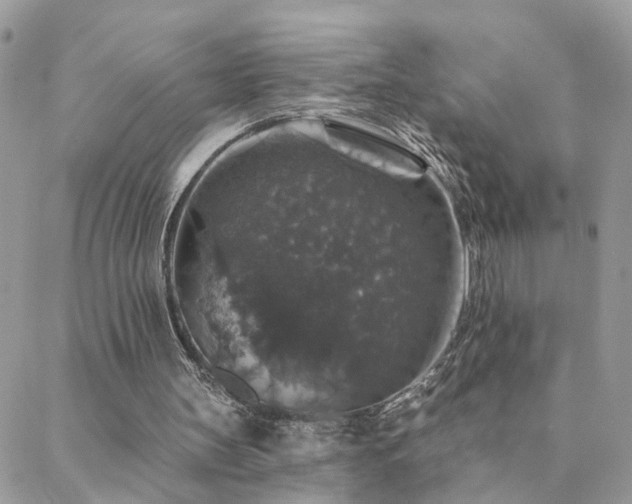 X0000088430147200705221256