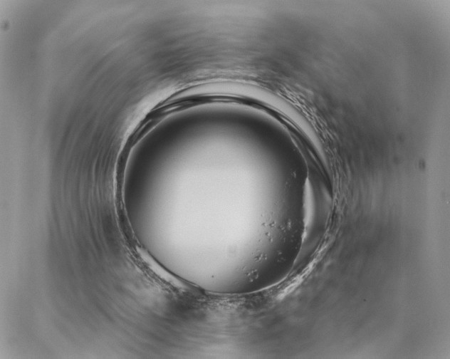 X0000088430148200705221256