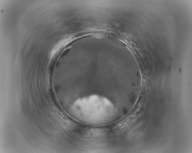 X0000088430149200705221256