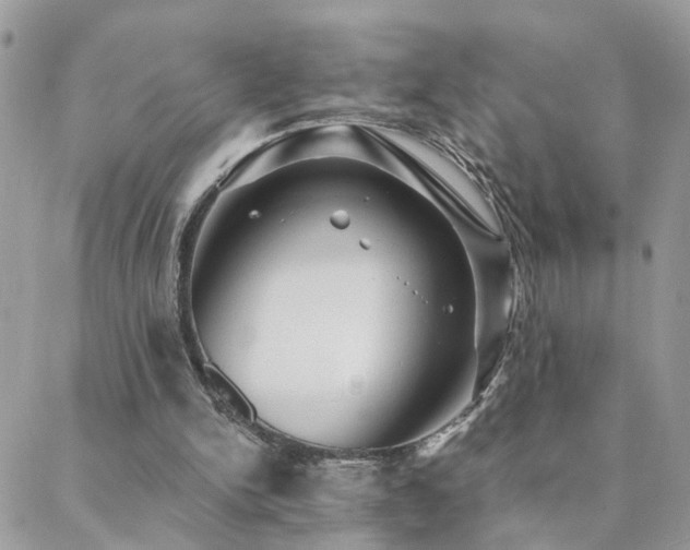 X0000088430150200705221256