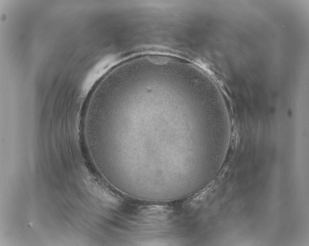 X0000088430151200705221256