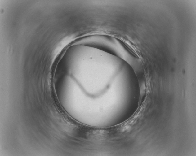 X0000088430152200705221256