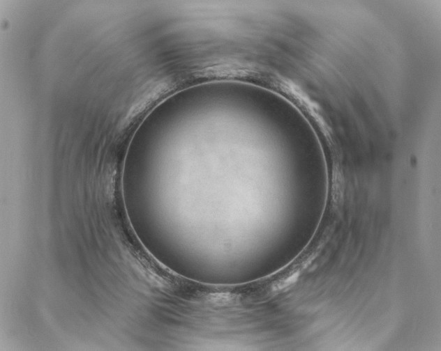 X0000088430153200705221256