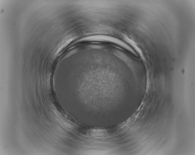 X0000088430154200705221256