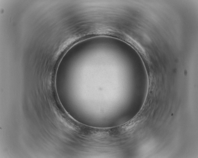 X0000088430155200705221256