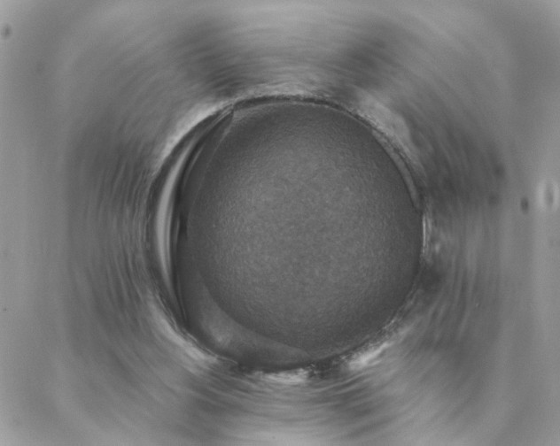 X0000088430156200705221256