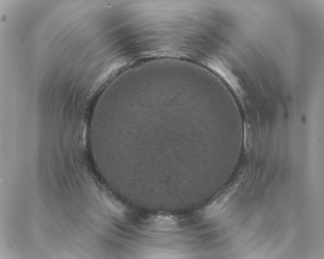 X0000088430157200705221256