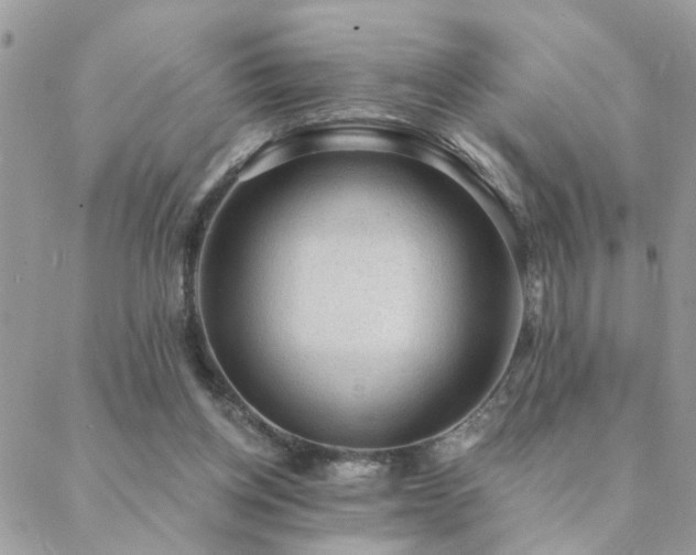 X0000088430158200705221256