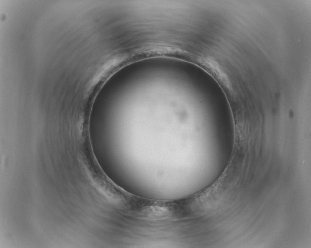 X0000088430159200705221256