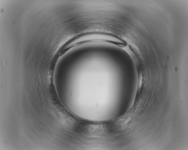 X0000088430160200705221256