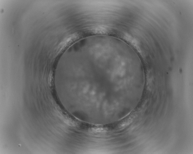 X0000088430161200705221256