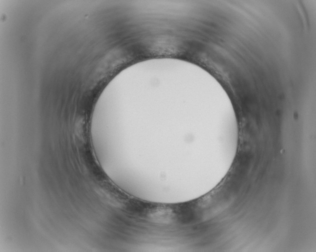 X0000088430162200705221256