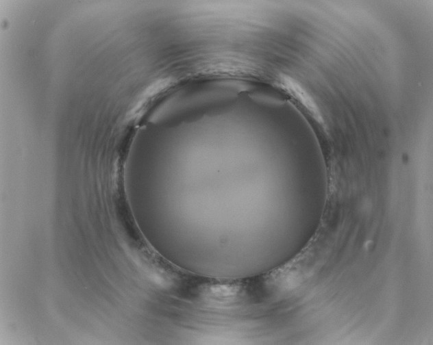 X0000088430163200705221256