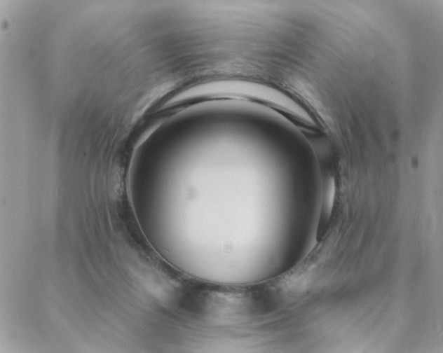 X0000088430164200705221256