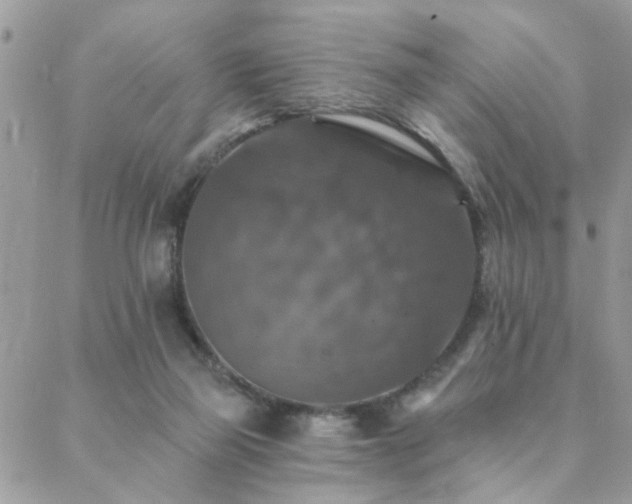 X0000088430165200705221256