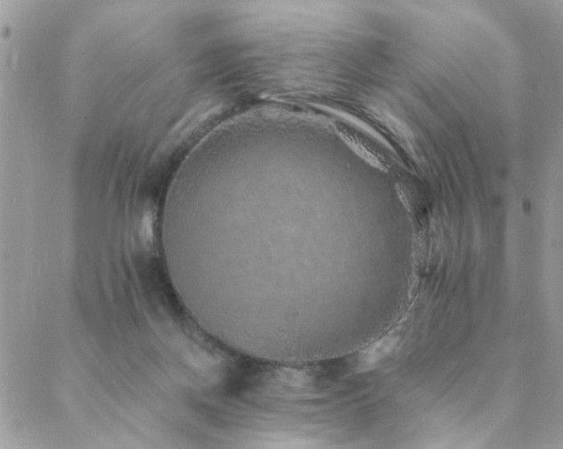 X0000088430166200705221256