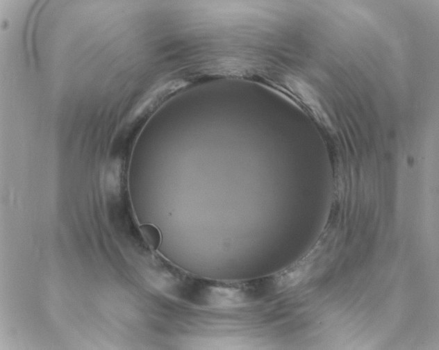 X0000088430167200705221256