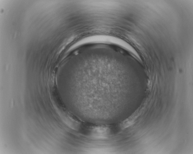 X0000088430168200705221256