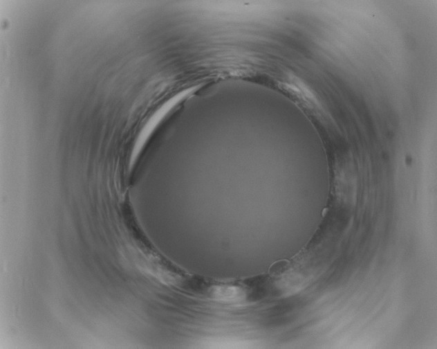 X0000088430169200705221256