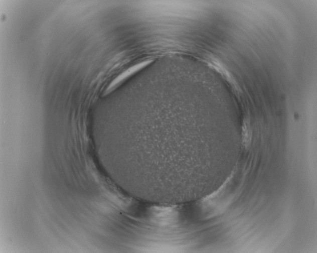 X0000088430170200705221256