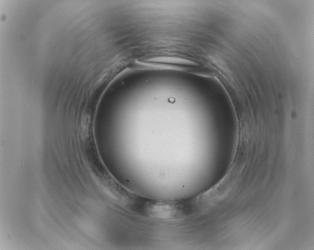 X0000088430171200705221256