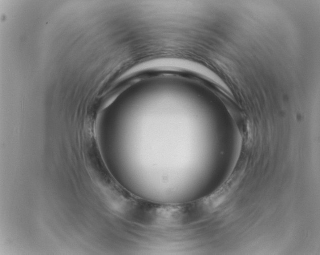 X0000088430172200705221256