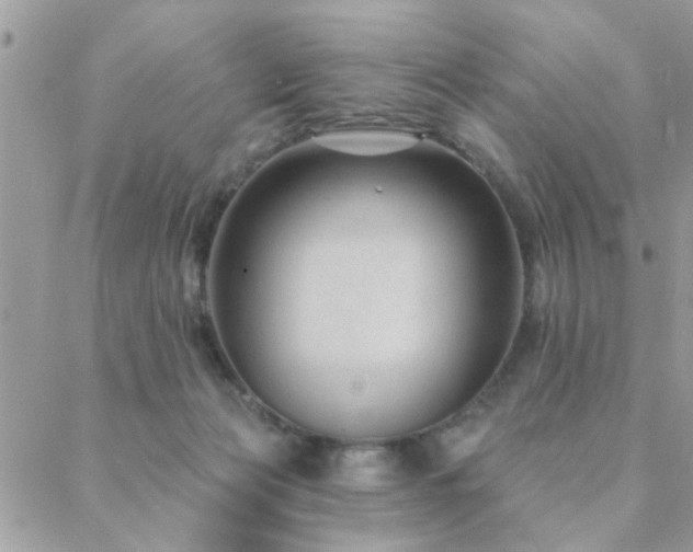 X0000088430173200705221256