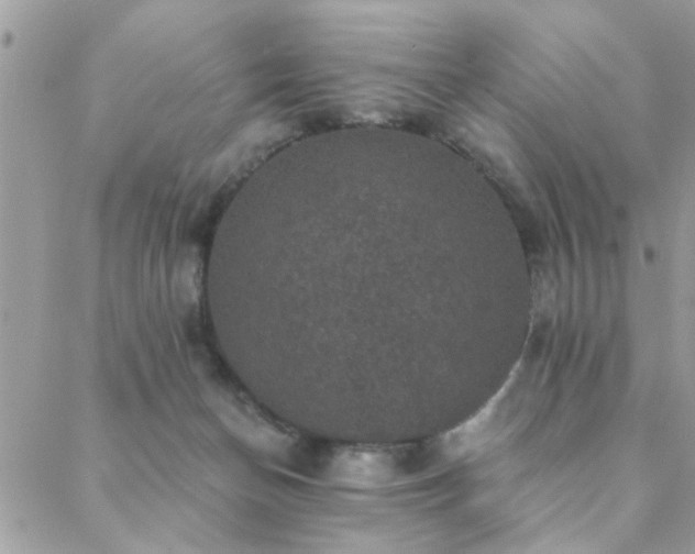 X0000088430174200705221256