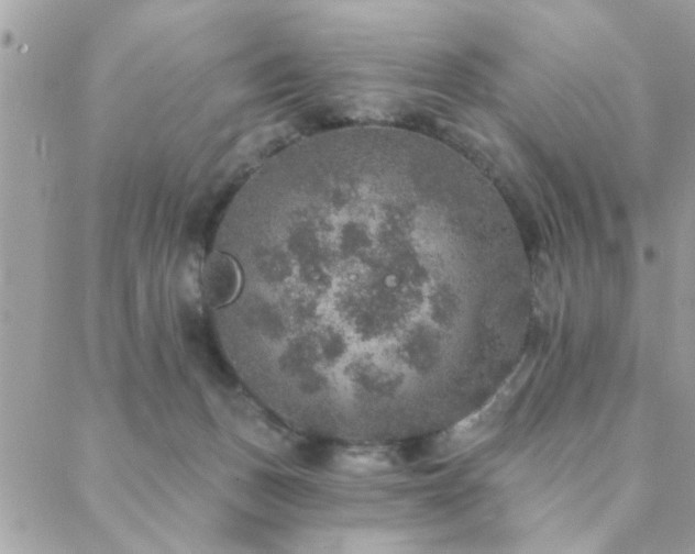 X0000088430175200705221256