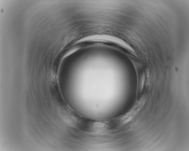 X0000088430176200705221256